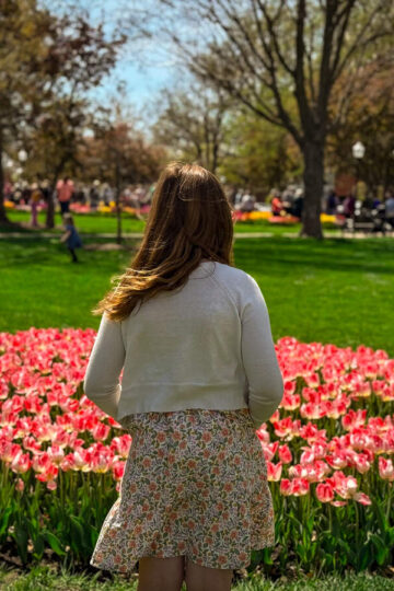A young girl explores tulip gardens in Pella.