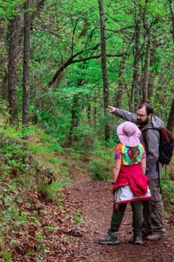 A young girl and her father hike in Hot Springs National Park.