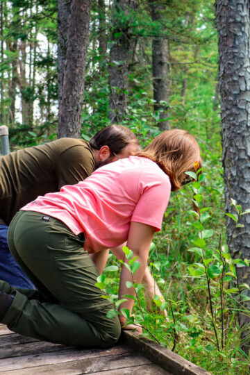 A dad and his young daughter look over a boardwalk trail in Lake Bemidji State Park.
